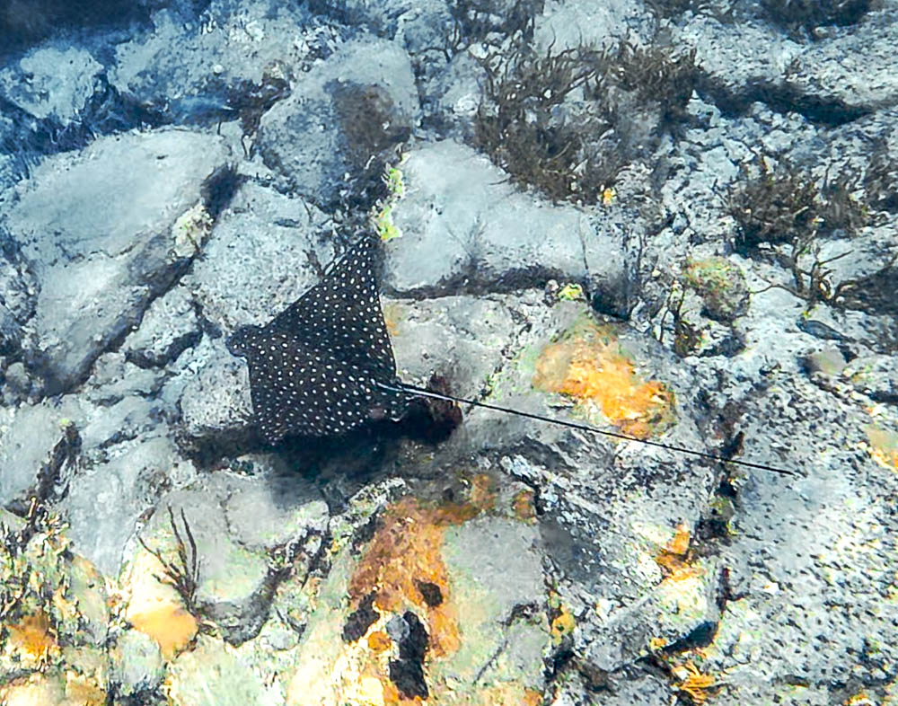 Cistern Point at Cooper Island