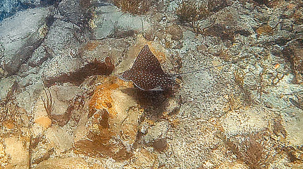 Cistern Point at Cooper Island