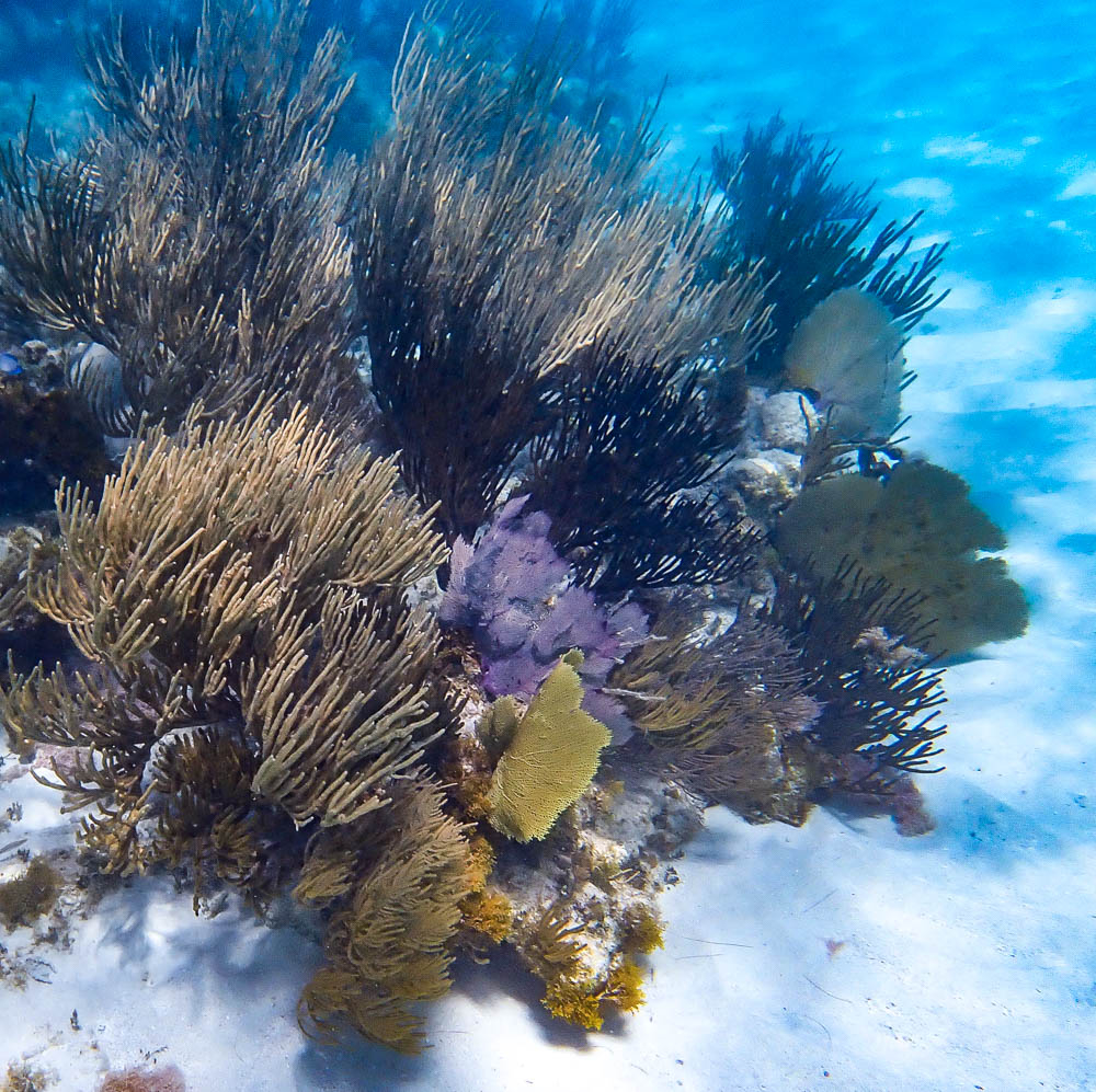A Day At Eustatia Island