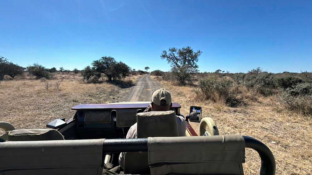 Into Africa